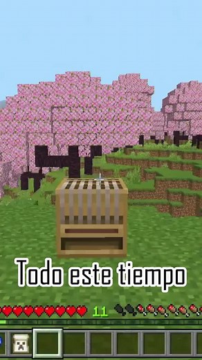 Ideas de telar y otras funcionalidades en Minecraft