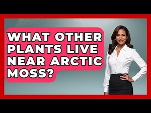 What Other Plants Live Near Arctic Moss? - Polar Regions Uncovered