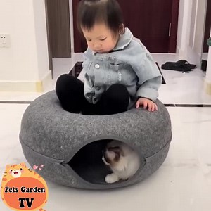 24K views · 3.1K reactions | chubby cat殺 | Cute Animals Baby | Facebook