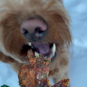 We have something for every pup’s preference! Choose from 5 delicious varieties: ✅Sensitive Stomach ✅Joint Support ✅Fresh Breath ✅Soothing ✅Healthy Skin & Coat | Earth Animal