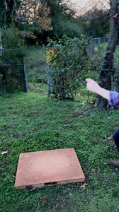 Old Stomping Ground by The Riptide Movement #buckdance #flatfoot #clogging | Hillary Klug