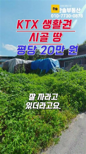 절반값 김천 땅, 두 번이나 유찰된 이유 #법원경매 #토지경매 #대지경매 #소액경매 #주말농장 #세컨드하우스 #토지투자 #경매권리분석 #부동산경매 #경매초보 #김천경매