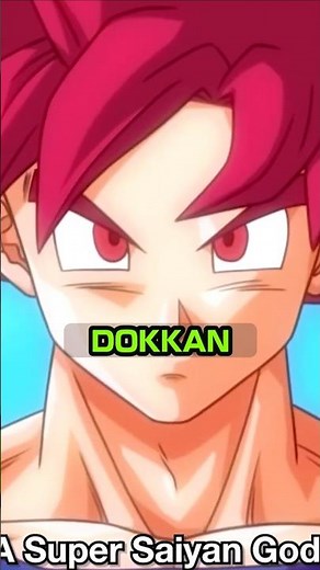 GODKU VS BEERUS GOKU DAY SUR #dokkan #dokkanbattle