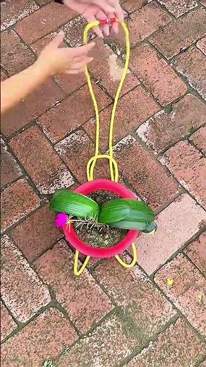 DIY Rope Plant Hanger Tutorial