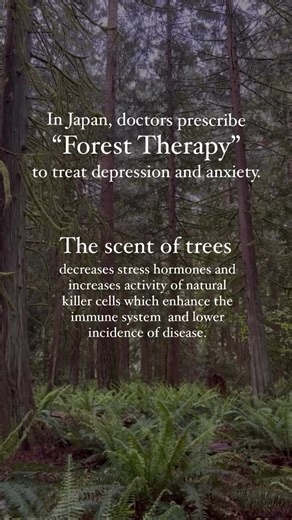 14K views · 573 reactions | Tag a friend who needs to try "Forest therapy"  (@scienceofessentials) #healthyearth #frequency #frequencyhealing #frequencymedicine #frequencyvibrations #ocean #oceanlife #goodvibes #ɢᴏᴏᴅᴠɪʙᴇs #grounding #earthing #earthing #bodybalance #bodyharmony #bioelectric #sharewithfriends #biochemistry #humanbiology #bodyandmind #itsallaboutbalance | BeGrounded | Facebook