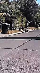 450K views · 5.4K reactions | All cops are bloody hard to take seriously on bicycles.  | Ozzy Man Reviews | Facebook