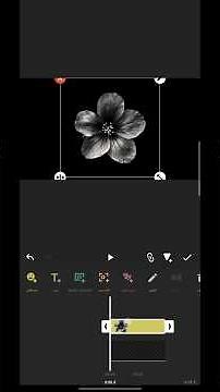 عشان الحقوق الصوت كذا #منور_لوكاس #منوره_اثي #لوكاس #اثي #لوكاس_لي_اوليرا#اوتاكو_الى_الابد #انمي