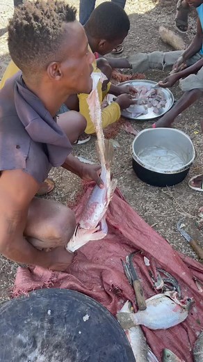 Local fish market arbamich ￼#ethiopia #fish #market