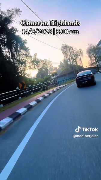 Explore Cameron Highlands: Live Highlights and Updates