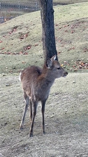 #explore | Look Foopah