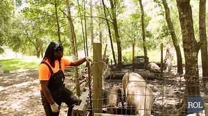 The land has been in the family since 1874, and today it is gorgeous and organic: | Organic Life