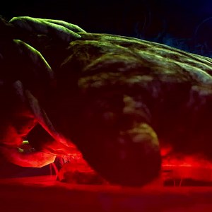 134 reactions · 27 shares | Take Sackboy on an epic 3D platforming adventure. | PlayStation | Facebook