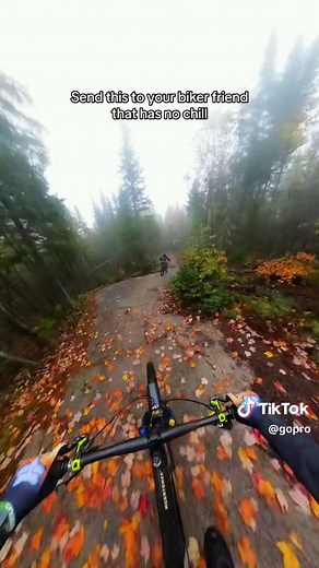 🫨 POV from @Alexandre Chapellier #GoProMAX. #gopro #speed #bike #pov #mtb