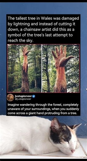 The Tree with a Hand