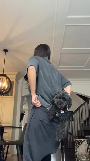 Teddy sitting comfortably😭🫶🏼🫶🏼🫶🏼🫶🏼