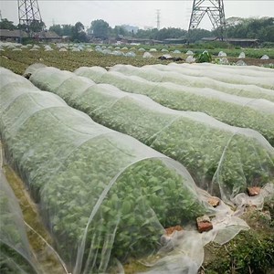 [Hot Item] HDPE Agricultural 50 Mesh Anti Insect Proof Netting 4m X 100m
