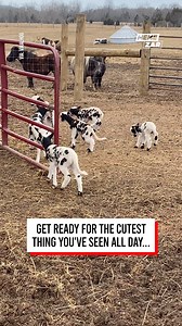 This has just made my day 🥰😆 | Memezar