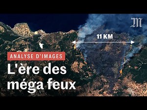 Incendies et méga feux : plus violents et nombreux qu'avant ?