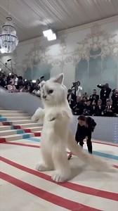 This ISN'T Fashion | The Comments Section