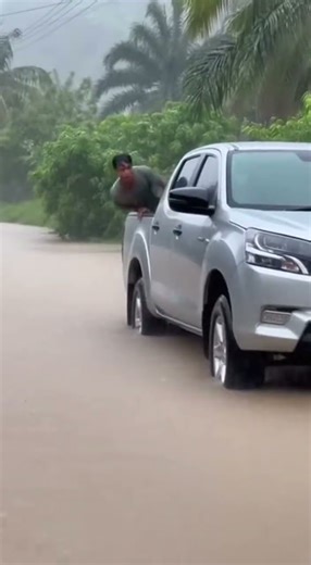 Massive Bull Attacks Car in Flooded Street — Wild Encounter Shocks Drivers