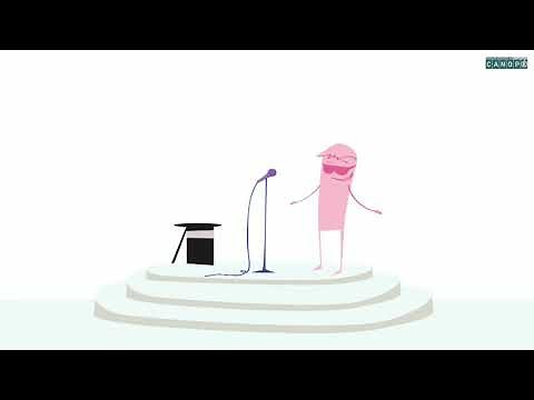 Le présent des verbes être et avoir Canopé