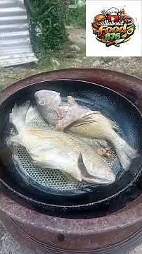 Traditional Jamaican Fish & Rice and Peas Over Open Fire!