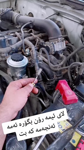 وه ستا هـيمن رونگؤر على TikTok