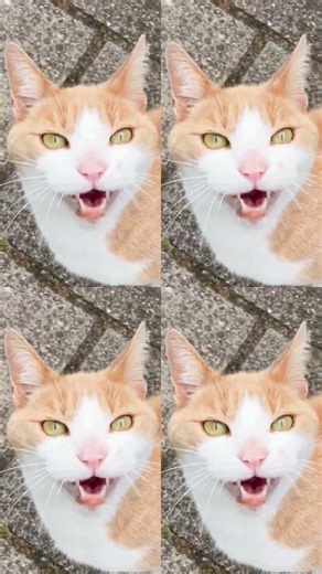 Send This With ZERO Explanation