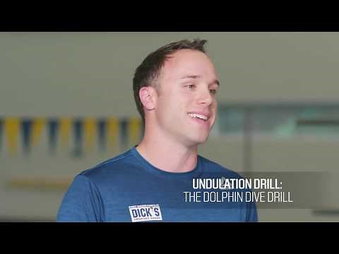 Breaking Down the Butterfly Stroke Technique