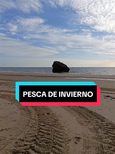 Pesca de Noche en Invierno: Preparativos y Aventura