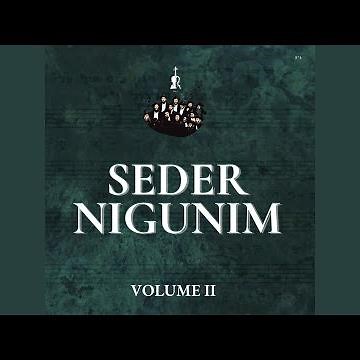 R' Moshe Vilenker's Nigun (feat. Boruch Sholom)