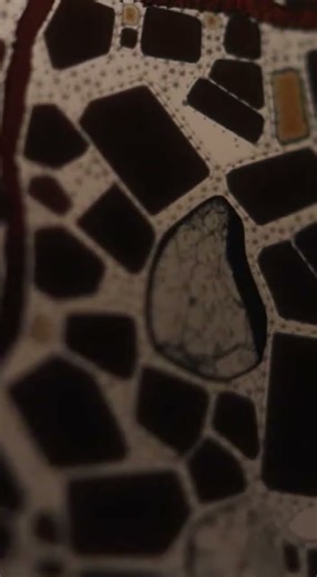 Martian Meteorite Under the Microscope Minerals from Mars