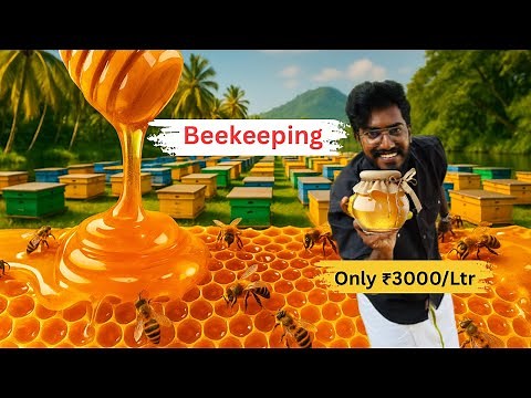 Inside Kerala’s Dual Honey 🍯 Bee Farm 🐝 | Stingless + Commercial Bee Revealed | AgroTill | #farming