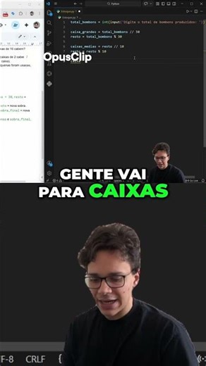 Como o código Python funciona?