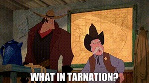 What in tarnation?