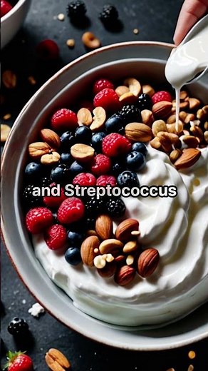 Greek Yogurt & Your Brain - The Gut Connection You Didn’t Know