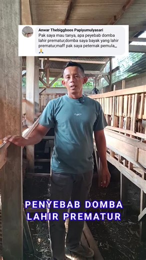 3.3K views · 73 reactions | Salah satu penyebab ternak domba yang lahir prematur | Ternak Tani Jaya | Facebook
