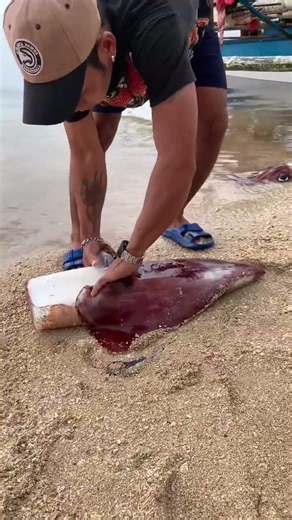 This Was How To Removed Giant Squid Fins
