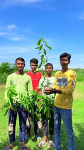 1.7M views · 104K reactions | ☝️Our vision 14 lakh tree planting Join us a making greener planet #tree #trees #treeplanting #treeplantation #treelover #trendingreels #trendin | Murali Manohar Kushwaha | Facebook