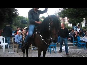 πανηγύρι ταύρου Αγία παρασκευή Λέσβος 2014 !!!