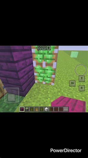 How to build a magic door in Minecraft ￼