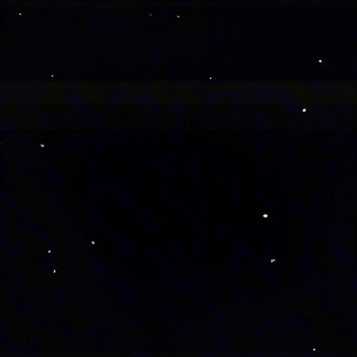 Bingo dancing #bingo #danceclass #fyp #bluey | bluey