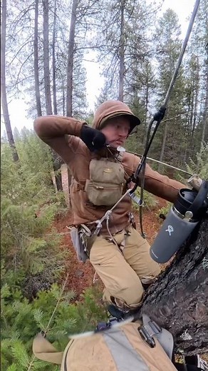 First time using a tree saddle! Still got some protecting to do! Practice makes improvement! #hunt