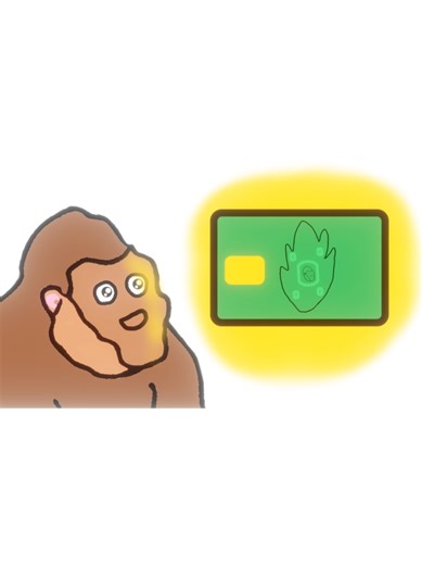 Understanding Credit Cards: A Beginner's Guide