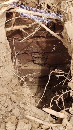 #boredinthehouse #yardwork #mystery #mysterious #archeology #history #renovation #homeflip #excavating #discoveries #bricks #homeproject #over40