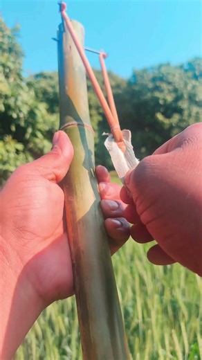 A strange bamboo slingshot gun #bamboo1 #satisfying