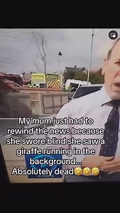 44K views · 615 reactions | The Inappropriate Gift Co on Reels | Facebook