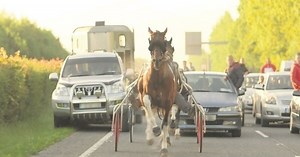 Sulky Racing: Time to find a legal solution?