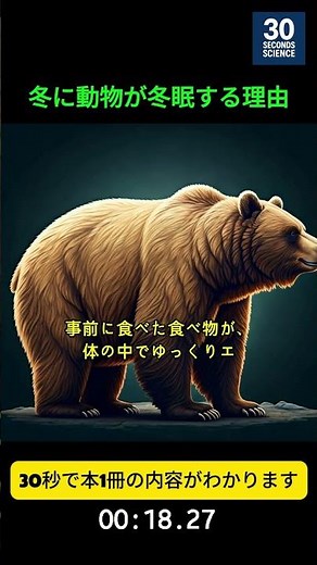 冬に動物が冬眠する理由