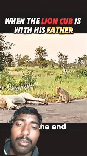 Is This the Most Disturbing Toy Ever Created? #wildliferescue #animals #animallife #lion🦁🔥🙏🏻 #funny